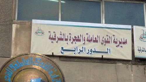 «القوى العاملة بالشرقية»: توفير 10781 فرصة عمل خلال 7 أشهر
