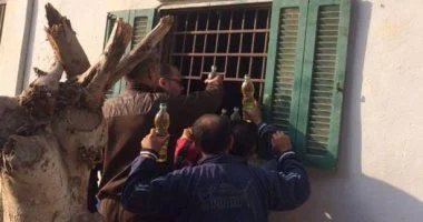 طرح 18 ألف زجاجة زيت بأسعار مخفضة فى منافذ القوات المسلحة بالشرقية