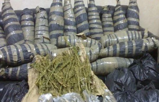 ضبط 81 كيلو بانجو و9 قطع سلاح فى حملة أمنية بالشرقية