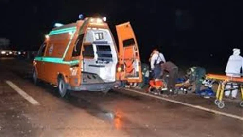 مصرع بقال بأبوحماد صدمته سيارة وهربت بطريق «أبوحماد - الزقازيق»