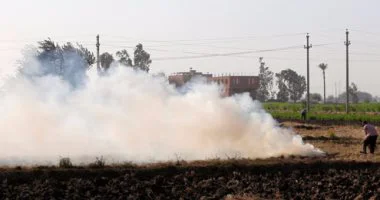 17 محضرا جديدا بالشرقية لحرق قش الأرز