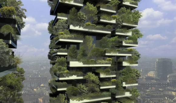 الغابة المتنامية داخل كتلة خرسانية