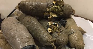 ضبط 25 كيلو بانجو بحوزة عاطل فى بلبيس