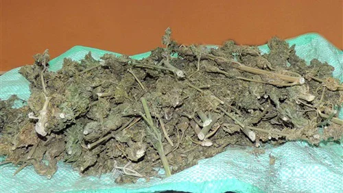 ضبط عاطلين لحيازتهما 3 كيلو بانجو فى بلبيس