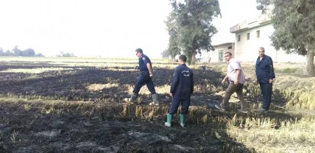 السيطرة على 3 “حرائق قش أرز” في الشرقية