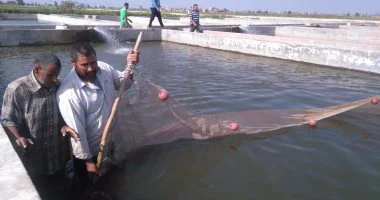 وزير الزراعة يعلن من الشرقية: مشروعات جديدة لتنمية الثروة السمكية