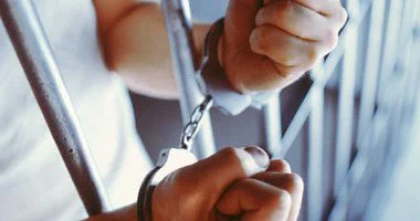 حبس شقيق النائب أحمد فؤاد أباظة بتهمة البلطجة والاستيلاء على أرض 