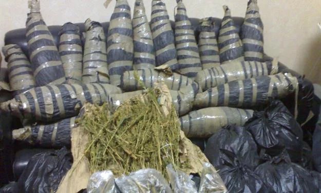 ضبط عاطل بحوزته 34 لفافة بانجو بصان الحجر بالحسينية