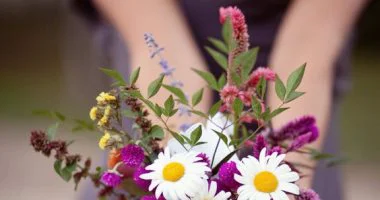 سامح تتسامح.. فى اليوم العالمى للتسامح ابعت رسالة لحد يستاهل تسامحه