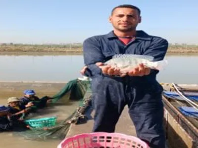 باحث بالمركز الدولي للأسماك يوضح طرق اختيار السمك الطازج