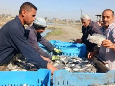 الخير في أرض مصر.. صيادو الشرقية يتحدون البرد بابتسامة أمل.. صور